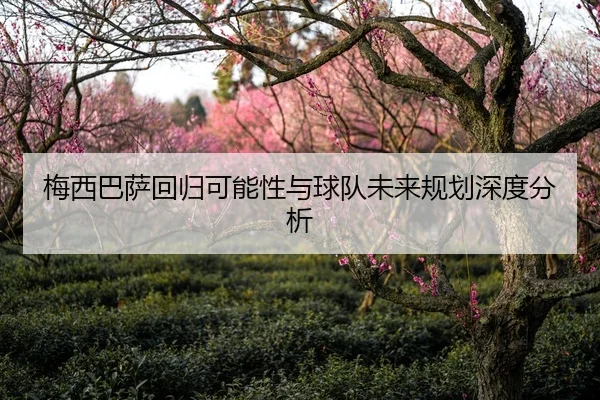 梅西巴萨回归可能性与球队未来规划深度分析